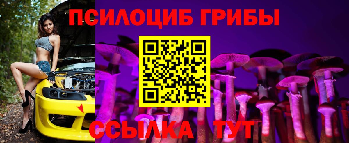 Пермь  Галлюциногенные грибы Psilocybe  Вход с VPN 